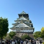 오사카 자유여행 2박 3일 오사카성 가는법 그리고 우메다 햅파이브 관람차.