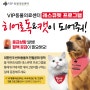 헌혈문화 선순환을 위한 VIP동물의료센터 레스큐펫 프로그램 "히어로독&캣이 되어줘!"