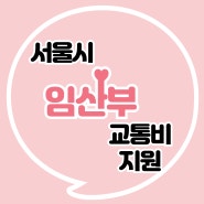 서울시 임산부 교통비 지원 신청하는 법 쉽다?!