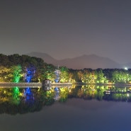 창원 밤산책하기 좋은 야경명소 '용지호수공원' 방문후기