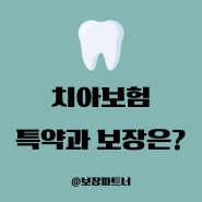 치아보험과 특약 내용 이해하기, 치과 치료 보장 금액은?
