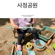 대전 아기모래놀이터 사정공원 숲 체험