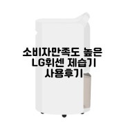 고객만족도 높은 LG 휘센 제습기 DQ132PWXC 사용 후기 (여름철 필수 가전제품)