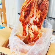 [김치리뷰] 마트킹에서 판매하는 중국산 OEM ‘정성담은 김치킹’ 10kg 8,900원 - 가성비 끝판왕, 맛도 좋습니다