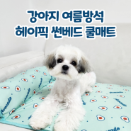 강아지 여름방석 냉감효과 푹신한 애견 쿨매트 헤이픽