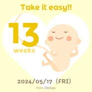 [임신 13주] / 간밤에 복통, 햄버거,임산부 친환경 꾸러미도착, 두드러기? 소양증?