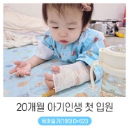 +623 _ 20개월 아기 인생 첫 입원 (ft.의정부 튼튼어린이병원)