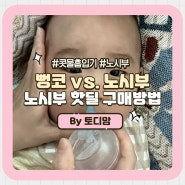 [아기 콧물흡입기] 코뻥 vs 노시부, 노시부 핫딜 구입 방법