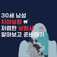 30세 남성 치아보험 저렴한 보험사 알아보고 준비하기