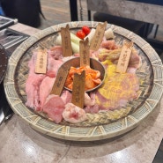 [잠실 한국계방이] 석촌호수 데이트 맛집 닭특수부위 숯불구이와 하이볼 맛집 연예인 손호영맛집