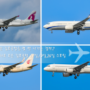 이번 4월달에만 김포공항을 몇 번 나가는 걸까..? 하나로 모은 김포공항 11일,19일,24일 스포팅 (2024.04.11&19&24)