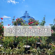 2024 서울국제정원박람회 (2024. 05. 16)
