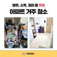 아파트 거주 청소 업체 비교 방법과 후기