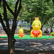 대구 음식문화축제 오리날다 동촌유원지