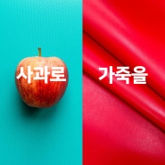 [에끌라토] 사과로 가죽을? 🍎