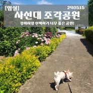 [임실] 사선대조각공원.. 강아지랑 산책하기 너무 좋은곳에 다녀왔어요.. 240515..