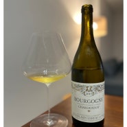 미셀 부즈로, 부르고뉴 샤르도네 2015 Michel Bouzereau, Bourgogne Chardonnay 2015