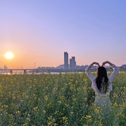 서울-서래섬 장미터널, 유채꽃 보러 오후 방문 추천!