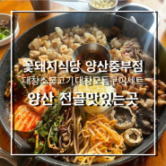 꽃돼지식당 양산중부점,대창소불고기전골,대창모듬구이 맛있는곳,점심특선추천