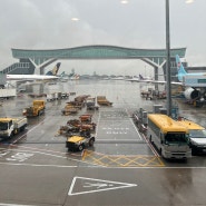 세계 여행 아시아 홍콩 대한항공 인천 홍콩 KE171 탑승기 기내식