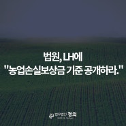 농지 헐값 보상 시대 끝나나? 법원, LH에 "농업손실보상금 기준 공개하라."