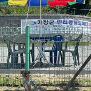 부산 기장군 무료 애견 운동장 ‘기장군 반려동물놀이터’