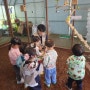화성 어린이집, 유치원 현장체험 학습