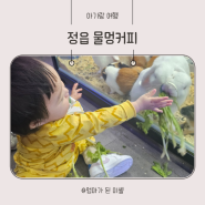 정읍 아기랑가볼만한곳 물멍커피