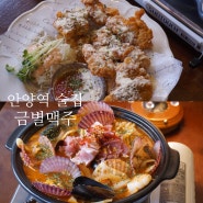 안양역 술집ㅣ레스토랑 분위기와 안주 찐맛집 '금별맥주' @가성비