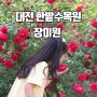 대전 한밭수목원 장미 꽃축제 개화상황 장미원 위치 주차
