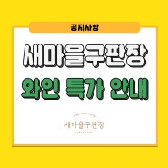 5/23까지! 5월 3주 차 와인 할인 행사