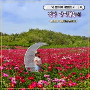 2024 영천 작약꽃축제 5곳 정보(장소, 개화상황, 주차)