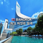 태국 방콕 호캉스 파크 하얏트 방콕 조식 수영장