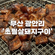 부산 광안리 '초필살 돼지구이' 총 5시간 웨이팅 후기