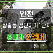 왕길동아파트경매 인천 검단자이아파트 2억대입찰