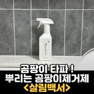 곰팡이 제거 셀프 종결 네이버쇼핑 후기수 1위 살림백서