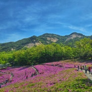 불암산 철쭉동산(feat.불암산 엘리베이터 전망대)