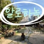 [대전 카페] 알로하녹 선화동 고즈넉한 감성 야외 한옥 카페 + 정원