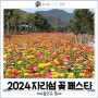 2024 가평 자라섬 꽃 페스타 기간 입장권 서울근교 축제