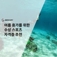 여름 휴가를 위한 수상 스포츠 자격증 추천! (스쿠버 다이빙, 요트, 프리다이빙)