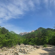 설악산의 보물 울산바위로 가는 가족의 여정 - 신흥사 편 1탄