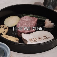 정자역 맛집 :: 우마블