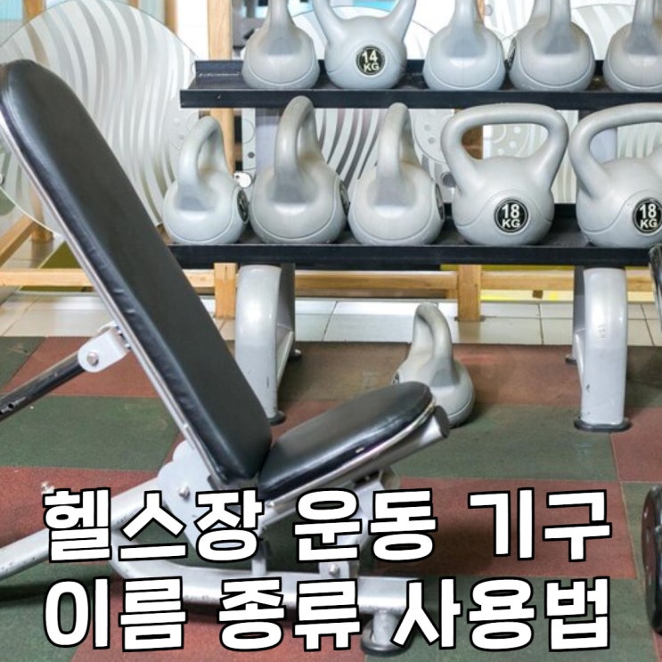헬스장 운동 기구 이름 종류 상체 하체 헬스 사용법 : 네이버 블로그
