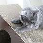 고양이 장난감 파우시 세모 스크래쳐 수직형 반려동물용품