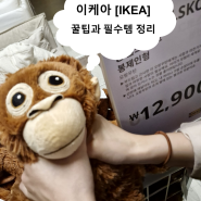 이케아[IKEA] 광명점 데이트_알아두면 좋을 꿀팁과 꼭 사야하는 필수템 정리
