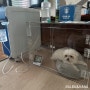 강아지 산소방 렌탈 대여 내돈내산 후기, CU메디칼 클로버4.0 렌탈 단기요금제 비용