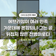 뒤집지 않은 전병 : 호세아 7장 8절~16절