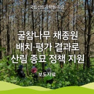 [국립산림과학원 지금] 나무 심는 위치도 과학으로! 산림종자 우수성 높인다