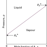 물리화학 [Simple Mixtures-Vapour pressure diagrams](단순혼합물-증기압 다이어그램)
