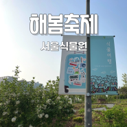 5월 가볼만한곳 서울식물원 호수공원 해봄축제 주말 꽃구경 나들이